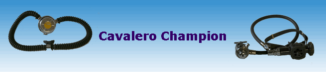Cavalero Champion
