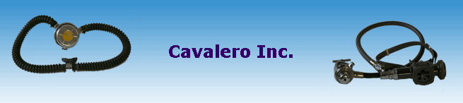 Cavalero Inc.