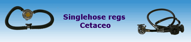 Singlehose regs 
Cetaceo