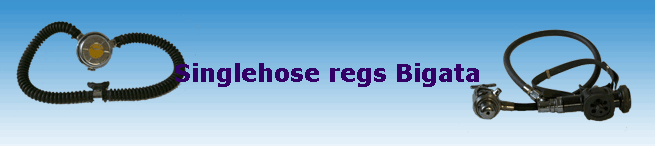 Singlehose regs Bigata