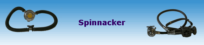 Spinnacker